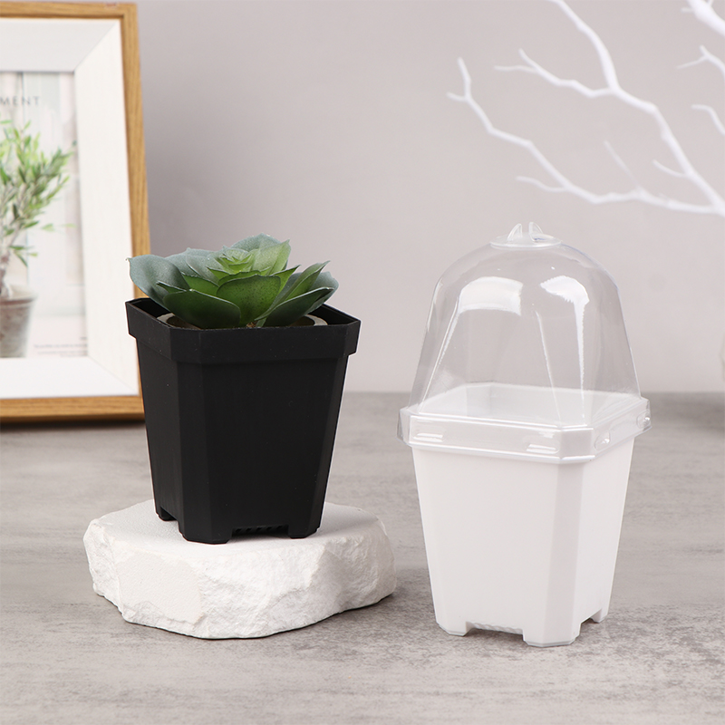5 Stuks Vierkante Kleine Bloem - Smart Garden Domes recensie en prijs
