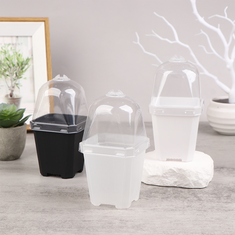 5 Stuks Vierkante Kleine Bloem - Smart Garden Domes recensie en prijs
