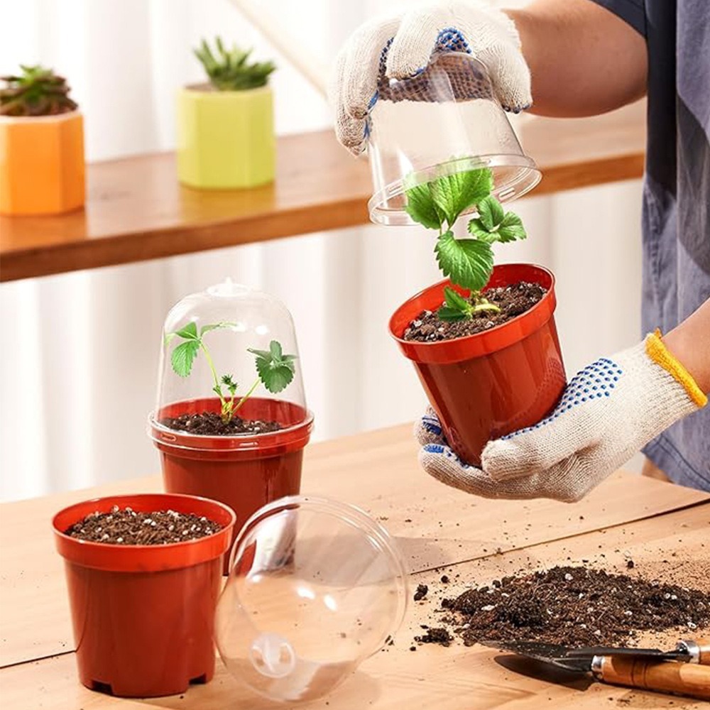 18 Stuks (9 Potten + 9 Deksels - Smart Garden Domes recensie en prijs
