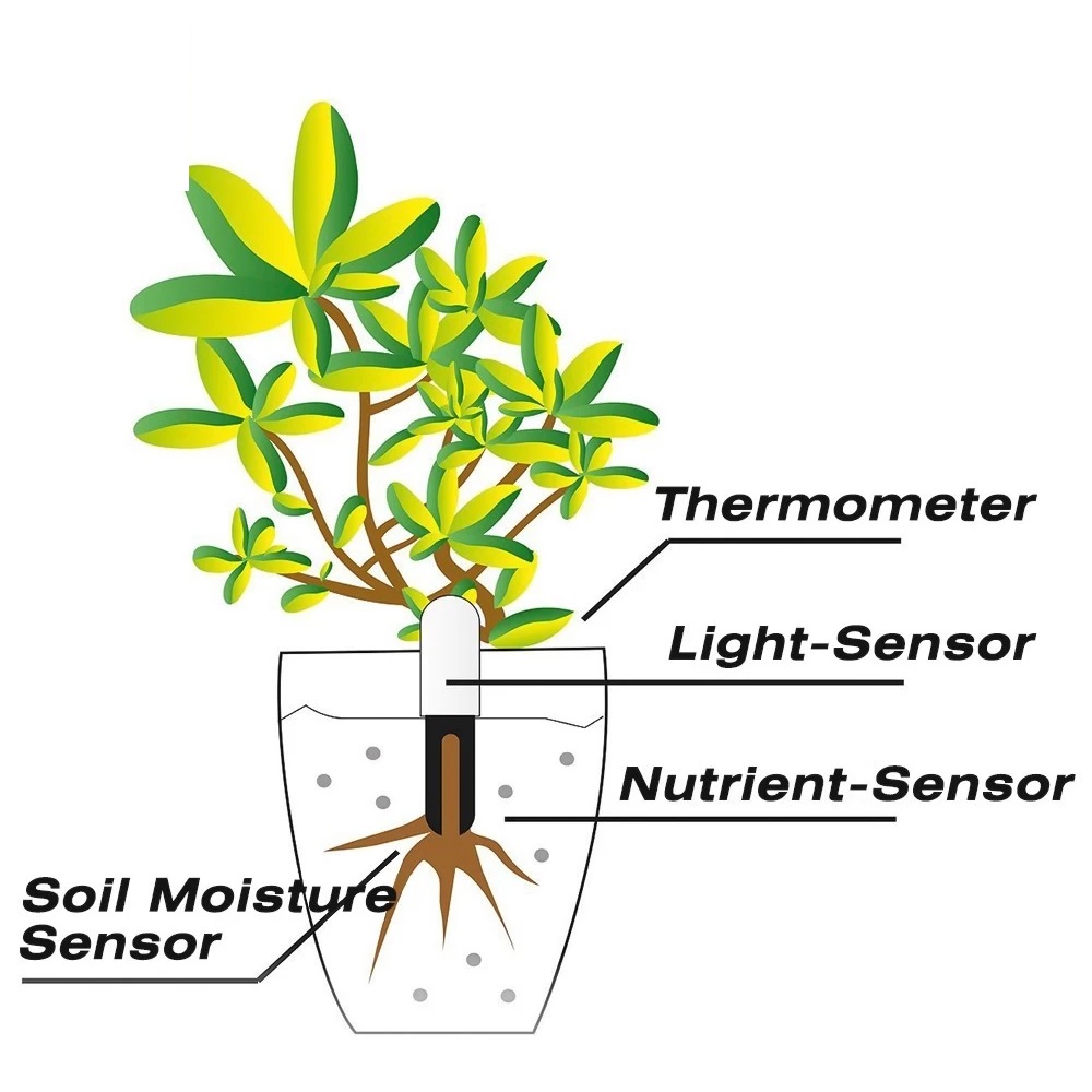 HHCC Bloemenmonitor Flora Tuin - Smart Garden Hub recensie en prijs
